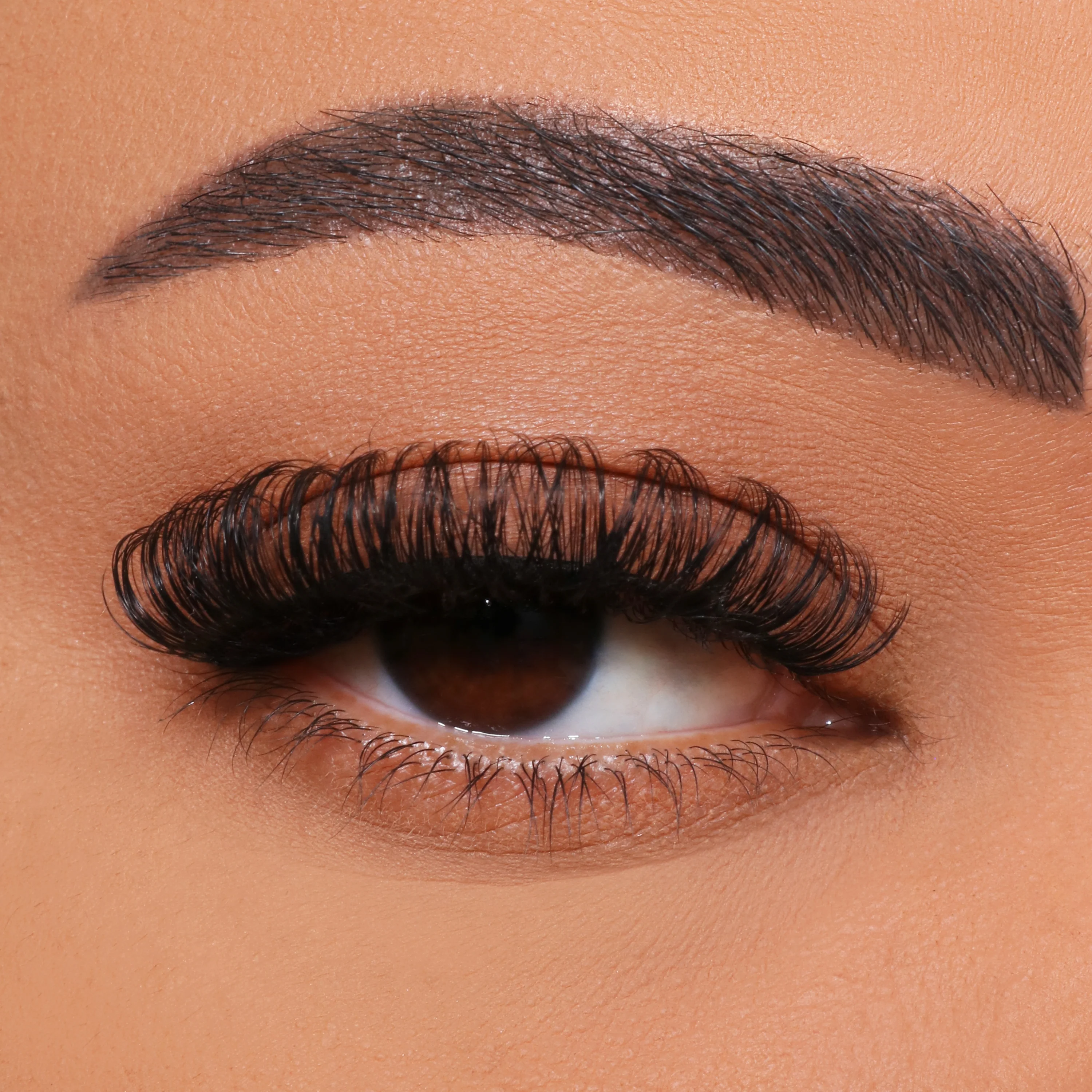 Kako narediti cepljenje trepalnic z več cvetoči?